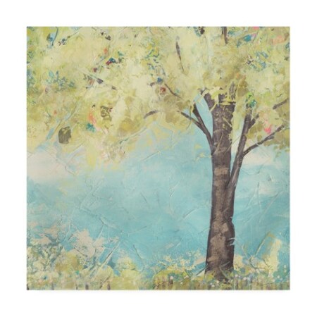 Trademark Fine Art June Erica Vess 'Glen Arbor I' Canvas Art, 14x14 WAG11706-C1414GG